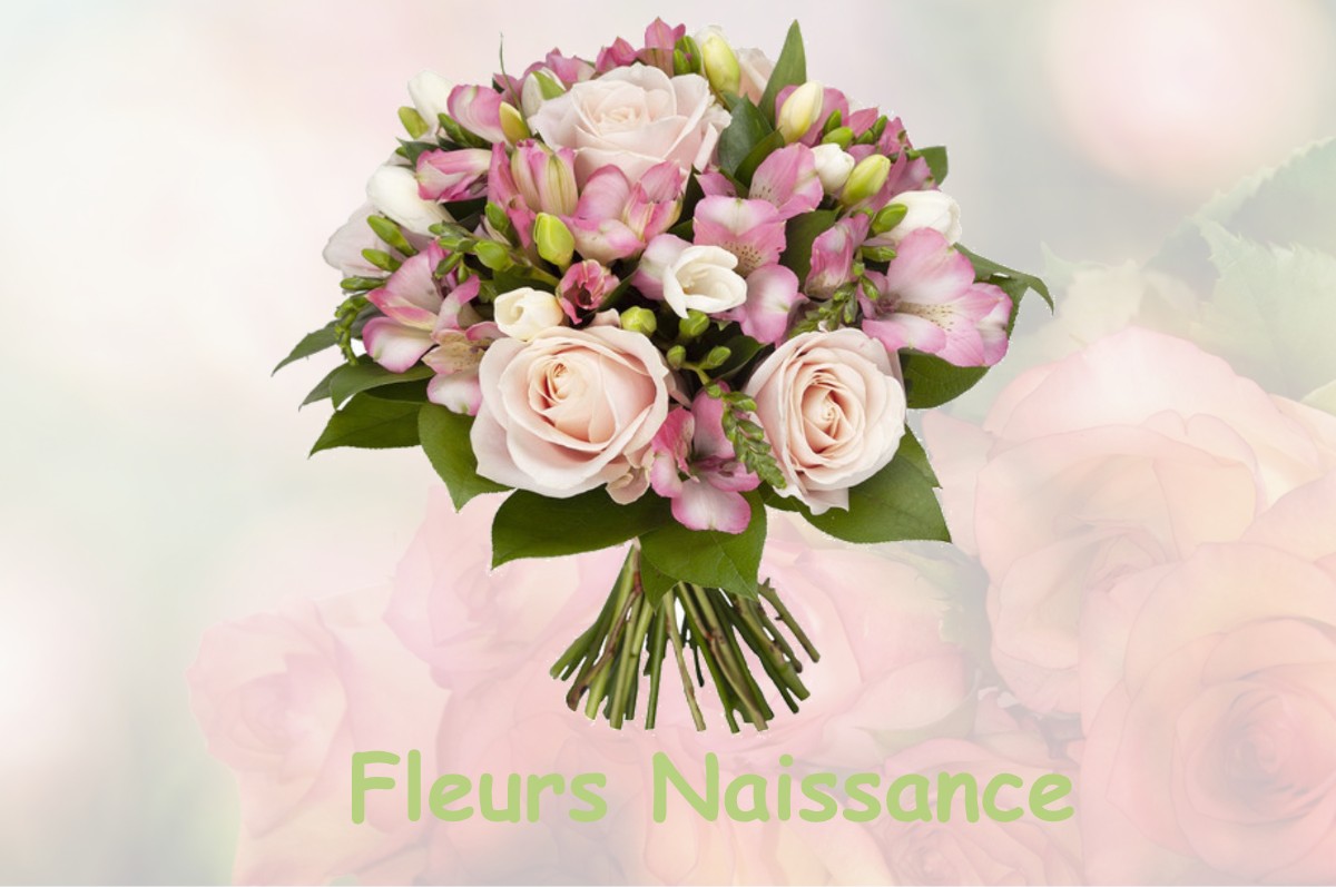 fleurs naissance BAILLEAU-ARMENONVILLE