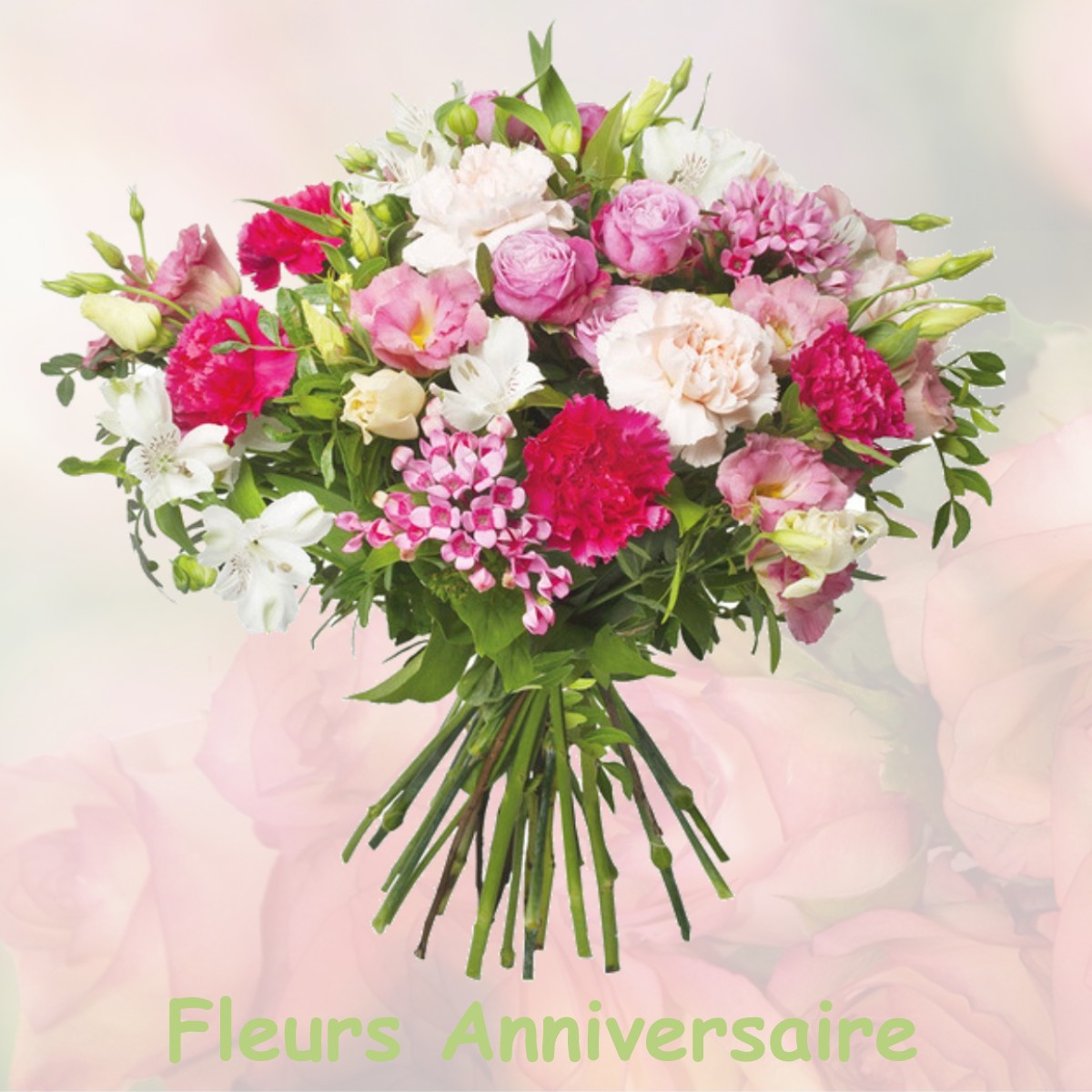 fleurs anniversaire BAILLEAU-ARMENONVILLE