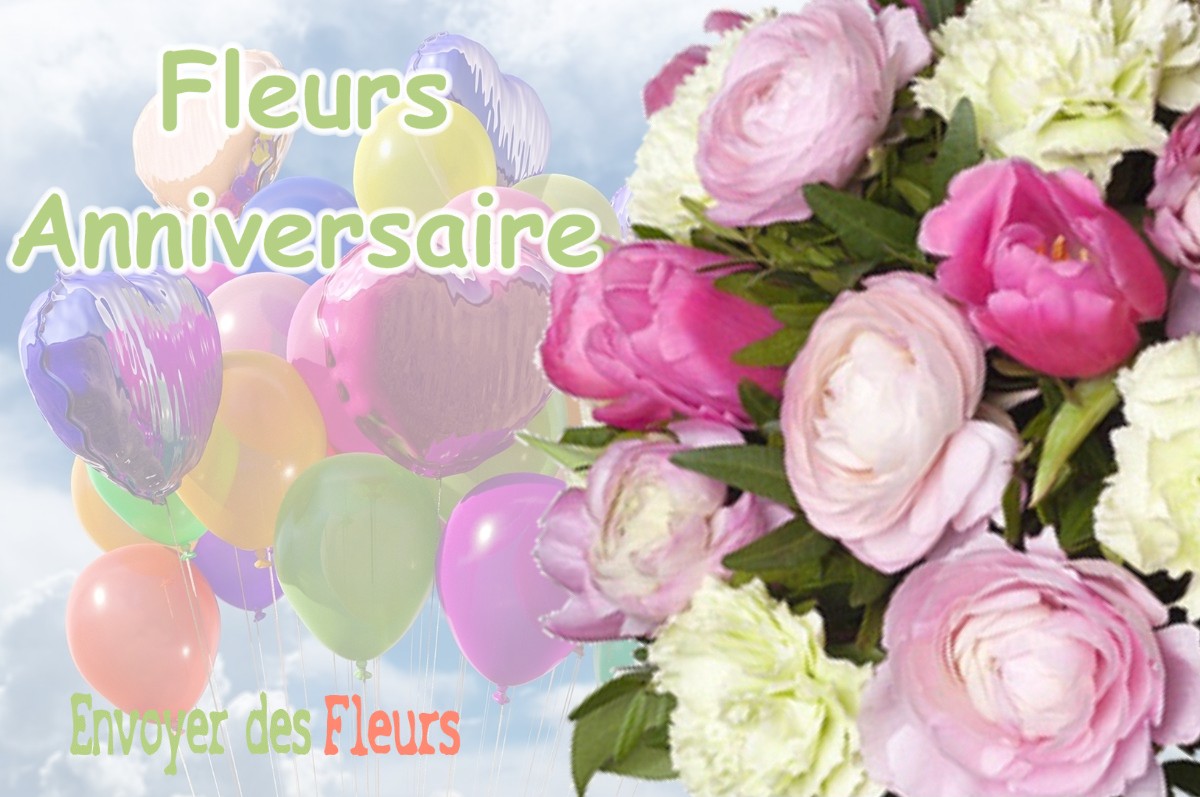 lIVRAISON FLEURS ANNIVERSAIRE à BAILLEAU-ARMENONVILLE