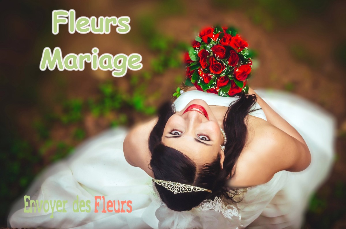 lIVRAISON FLEURS MARIAGE à BAILLEAU-ARMENONVILLE