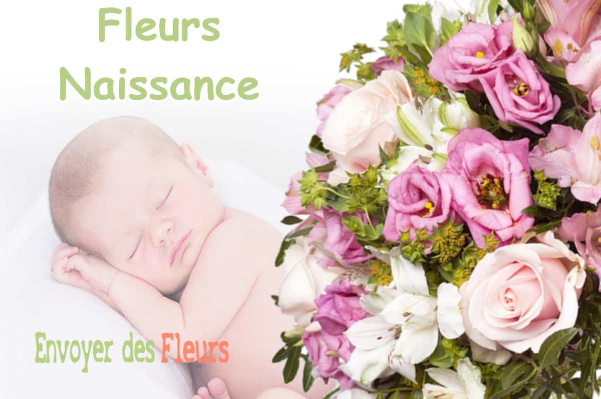 lIVRAISON FLEURS NAISSANCE à BAILLEAU-ARMENONVILLE