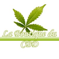 LA BOUTIQUE DU CBD BAILLEAU-ARMENONVILLE 