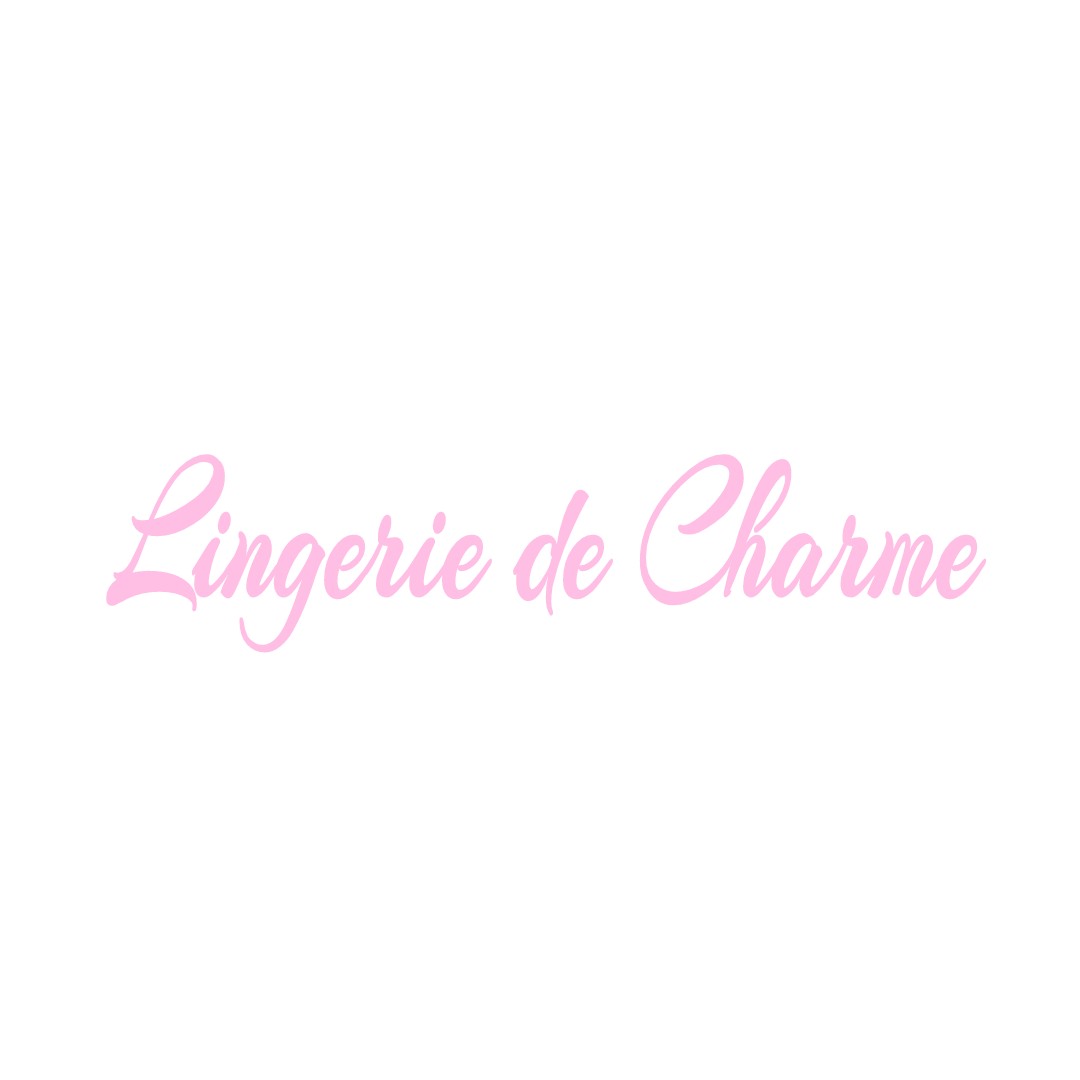 LINGERIE DE CHARME BAILLEAU-ARMENONVILLE